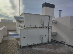 WhatsApp Image 2026-02-05 at 14.01.15 (3)