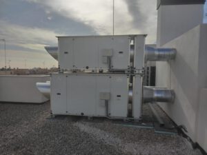 WhatsApp Image 2026-02-05 at 14.01.15 (4)