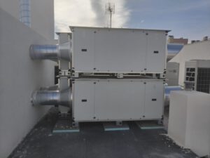 WhatsApp Image 2026-02-05 at 14.01.15 (5)