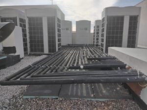 WhatsApp Image 2026-02-05 at 14.01.16