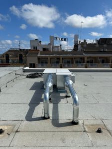 WhatsApp Image 2026-02-05 at 14.03.54